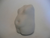 Torso